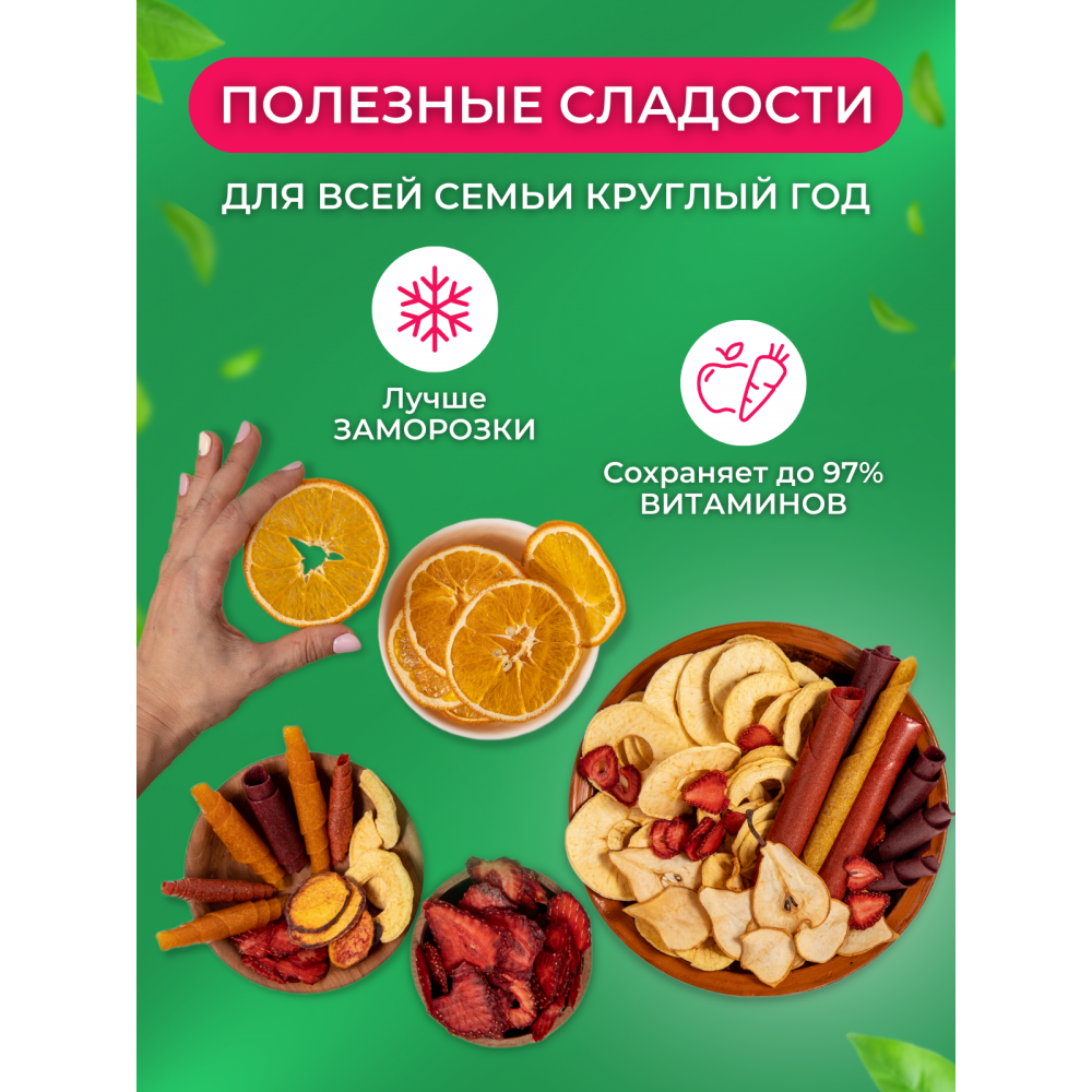 Ezidri Snackmaker FD500 Digital - купить по низким ценам в Краснодаре |  Магазин техники УМНЫЙСАД.РФ